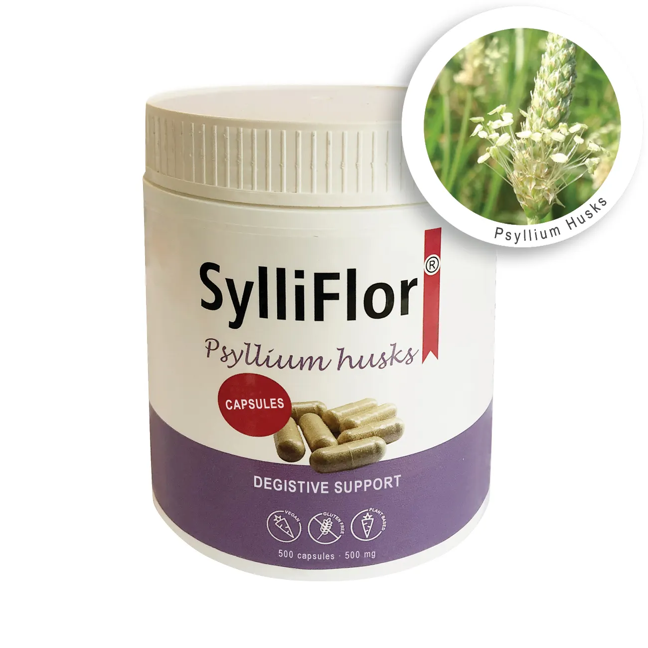 SylliFlor Psyllium Husks Cápsulas Alta Qualidade Fibra impulsionar Suplementos Fibras dietéticas para humanos Atacado