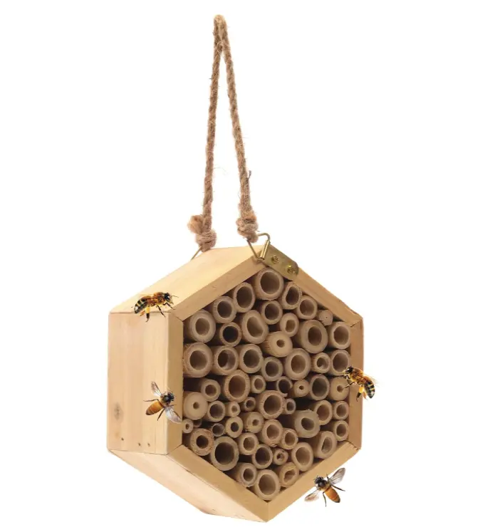 La ruche d'habitat d'insecte durable en bois naturel fait à la main attire les pollinisateurs pacifiques d'abeilles