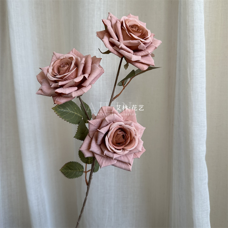 3 mocha rose shallow cafe