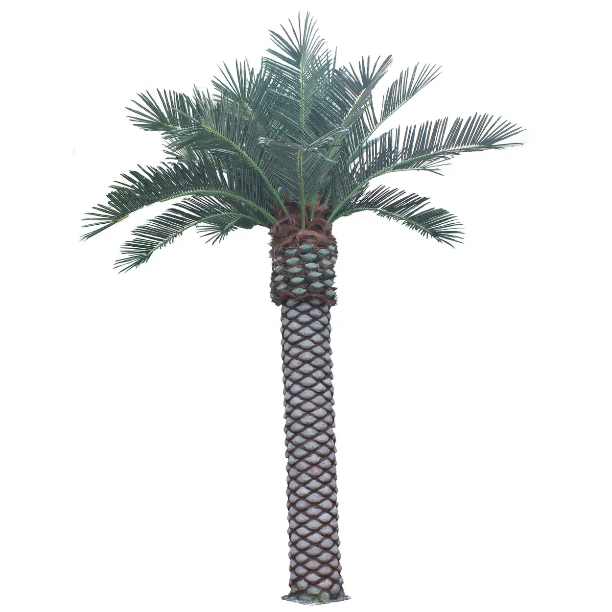 Adorno de parque temático para interiores y exteriores, decoración de paisaje a prueba de UV personalizada, palmera Artificial grande con fecha de Canario