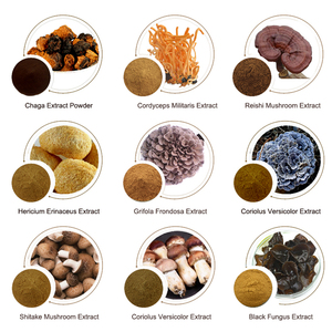 Органический порошок грибной смеси Reishi Cordyceps Львиная Грива и порошок экстракта грибов Chaga - Product Image 2