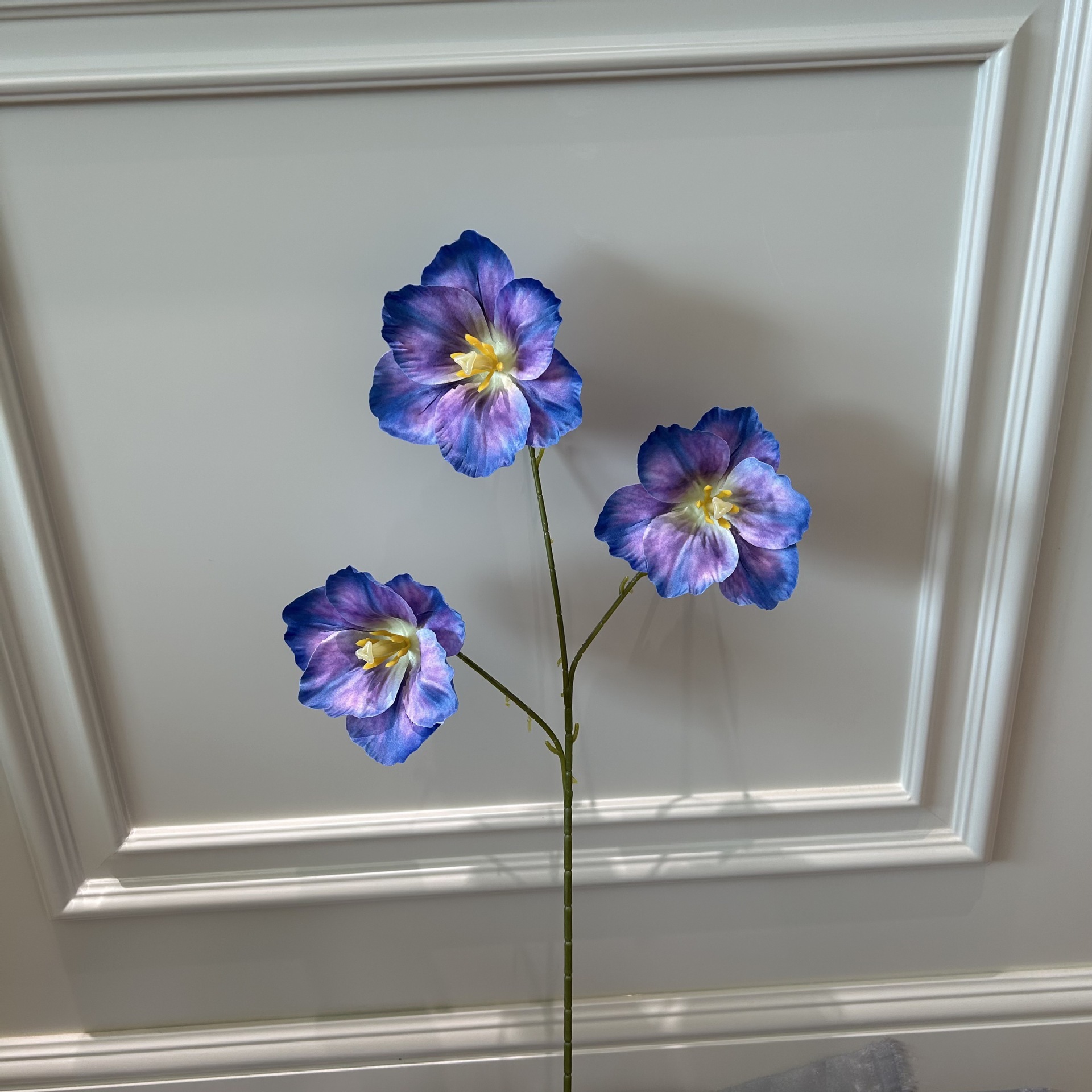 Xkl three open tulip blue purple