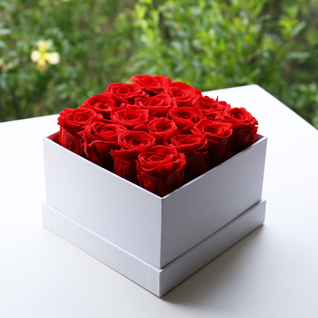 16 red roses in square box