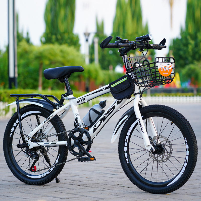 Classic white single speed-basket-rear hanger-flashlight