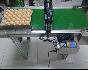 Industrie Eier druckmaschine Datums codier maschine Eier drucker Eier codier maschine - Product Image 5