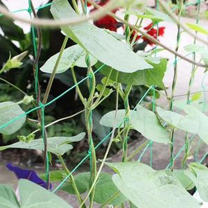 100% Maagdelijk Materiaal Plastic <span class=keywords><strong>Trellis</strong></span> Plant Klimondersteuning Tuinplantnet Voor Komkommer Wijngaarden En Bonen Gaas - Product Image 6