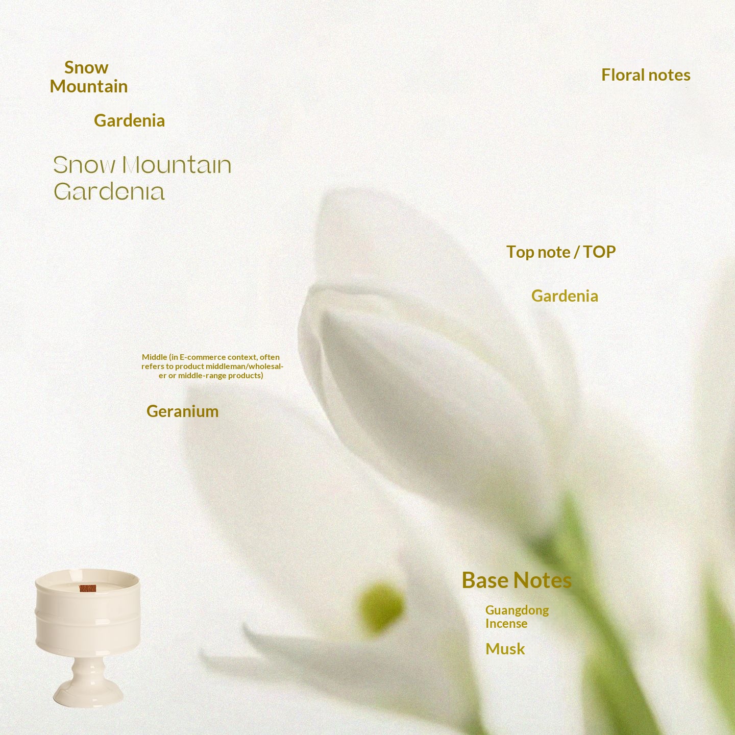White Cup - Snow Mountain Gardenia