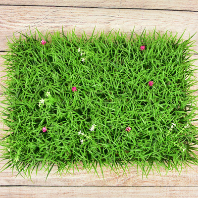 Semis d'herbe à fleurs