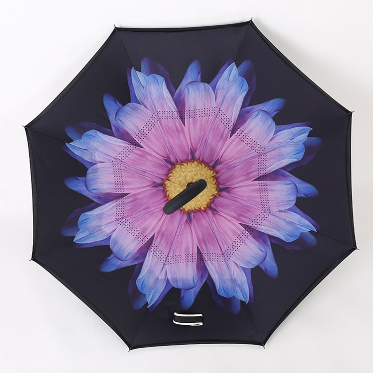 violet