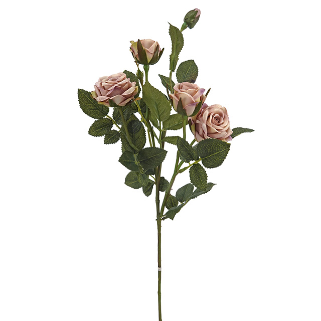 Malva Beige