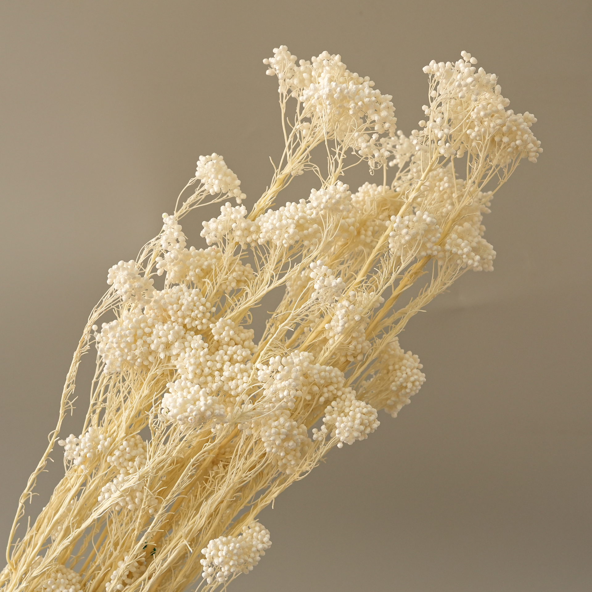 White-85g