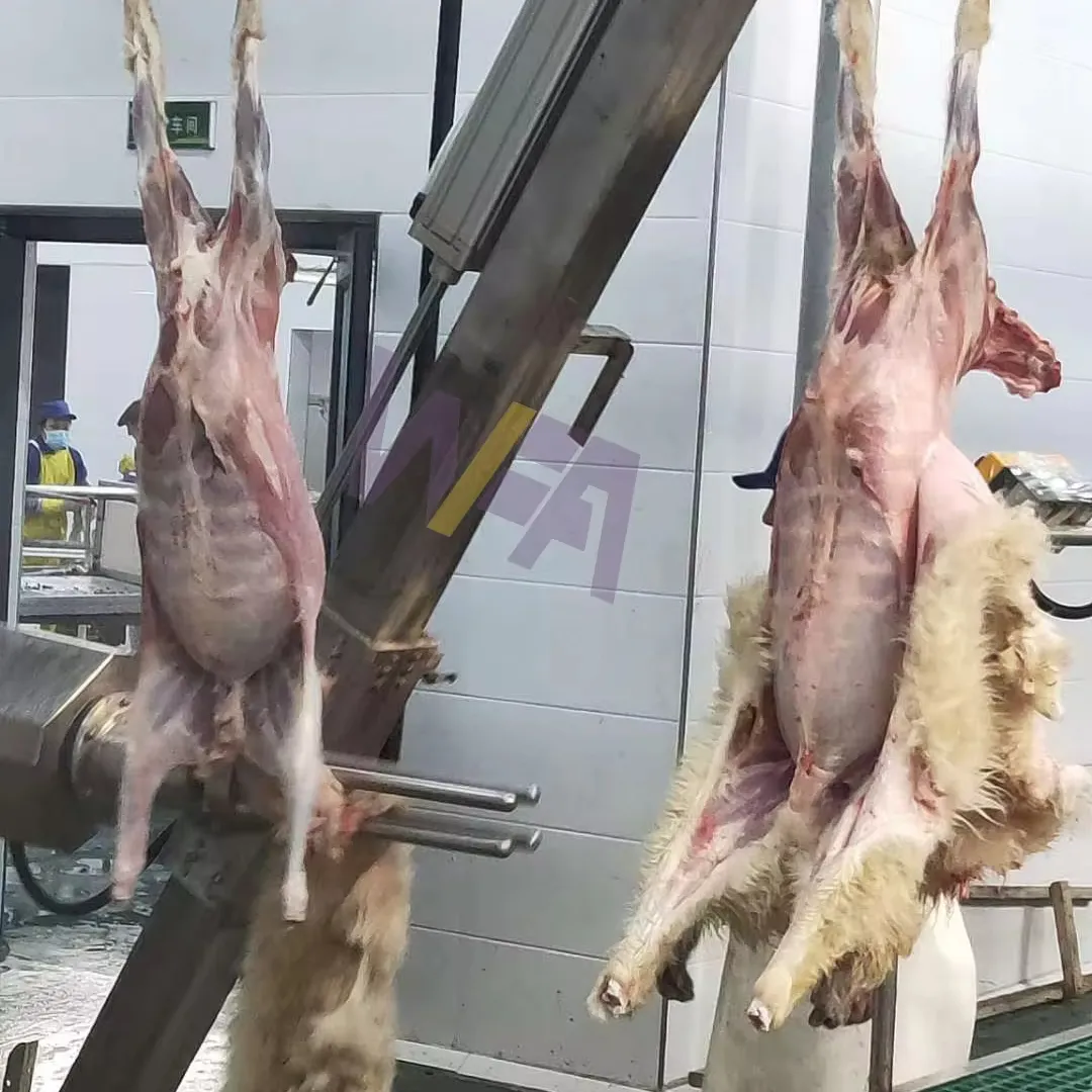 Cừu giết mổ dòng với da dê Loại bỏ máy chăn nuôi thiết bị lột cho thịt cừu abattoir