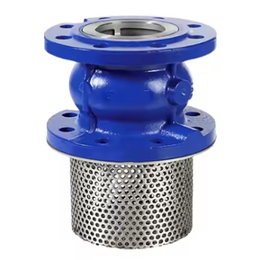 DN150 PN16เหล็กหล่อไม่คืนพร้อมที่กรองวาล์วเท้าสแตนเลส - Product Image 2