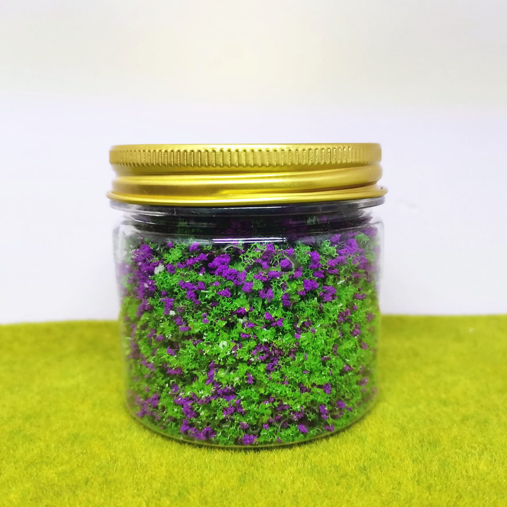 Violet coloré mo