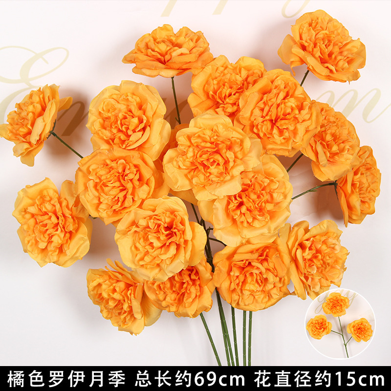 Rose royale orange