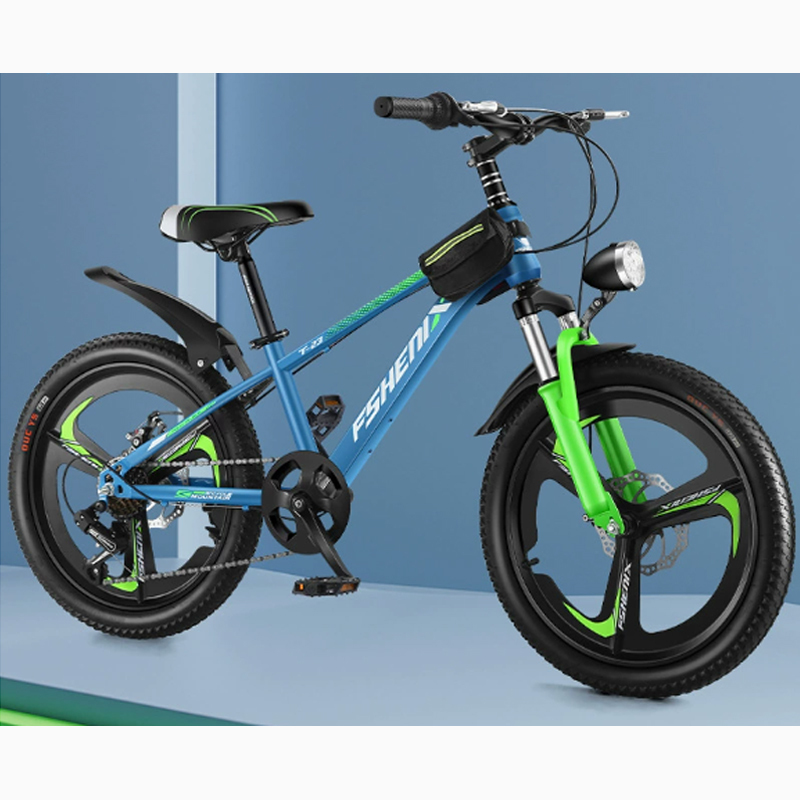 variable speed integrated wheel-sky blue