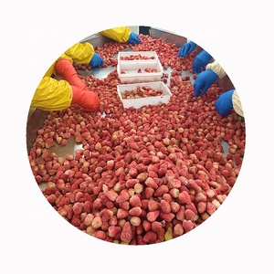 散装甜品规格Iqf大水果冷冻草莓中国价格 - Product Image 1