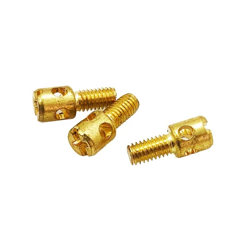Electric Meter Seal Enclosure Screws