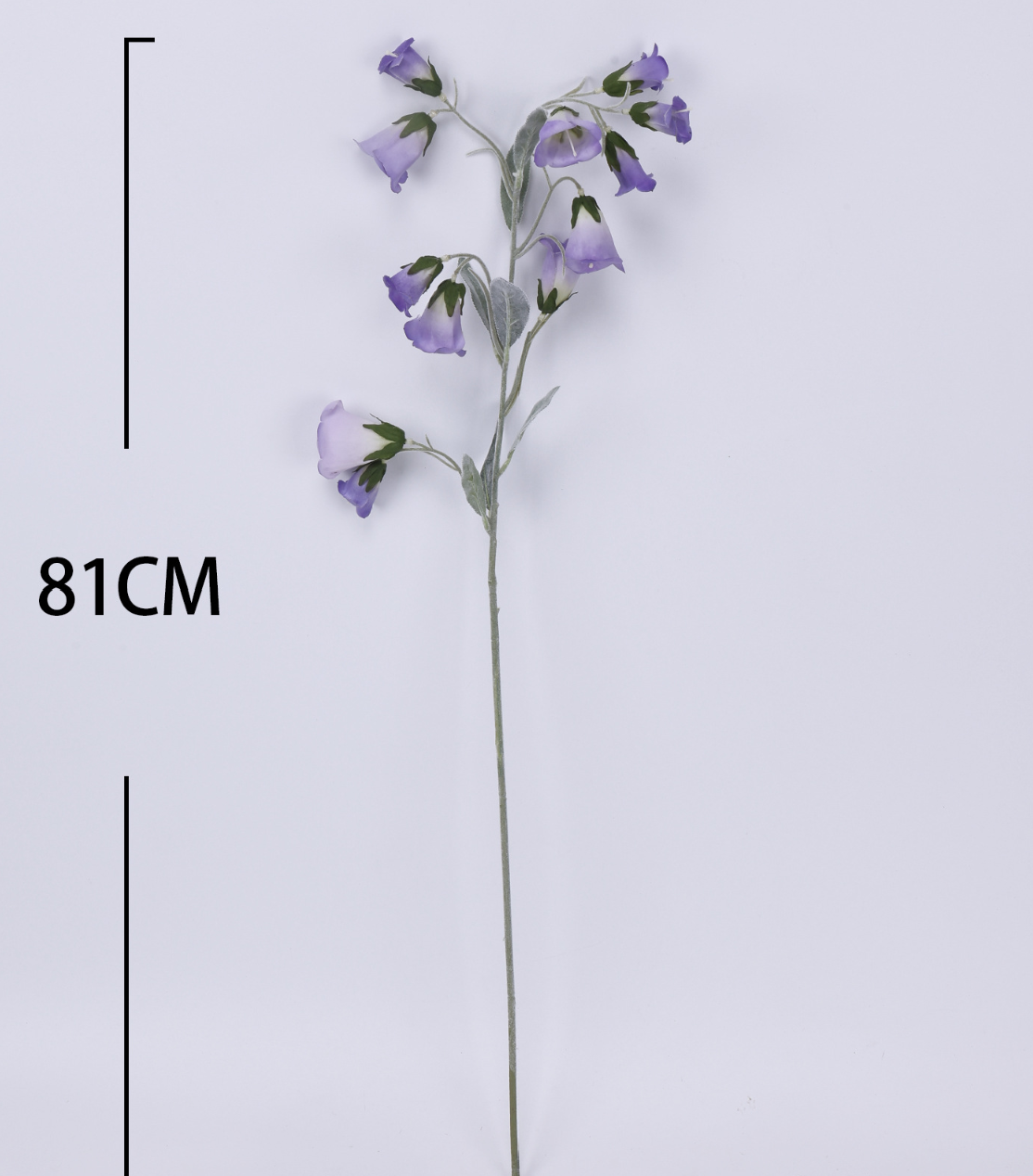 Campanula Real Touch - viola