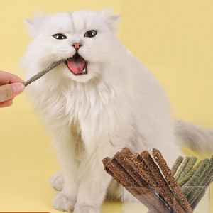 Catnip CAT masticar stick Box aliento fresco juguetes para gatos palitos naturales de silvervine catnip - Product Image 2