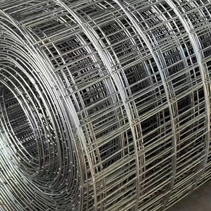 Sıcak daldırma galvanizli 1x1 2x2 tel kaynak rulo örgü tavşan kuş kaynaklı tel tel örgü rulosu çit - Product Image 4