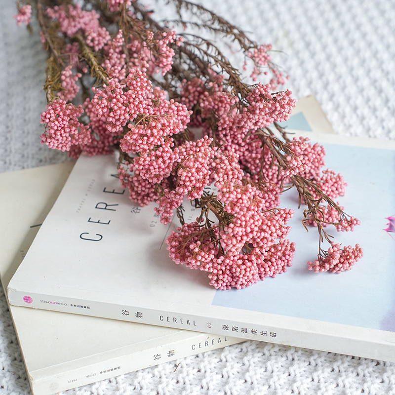 Rosa-80g