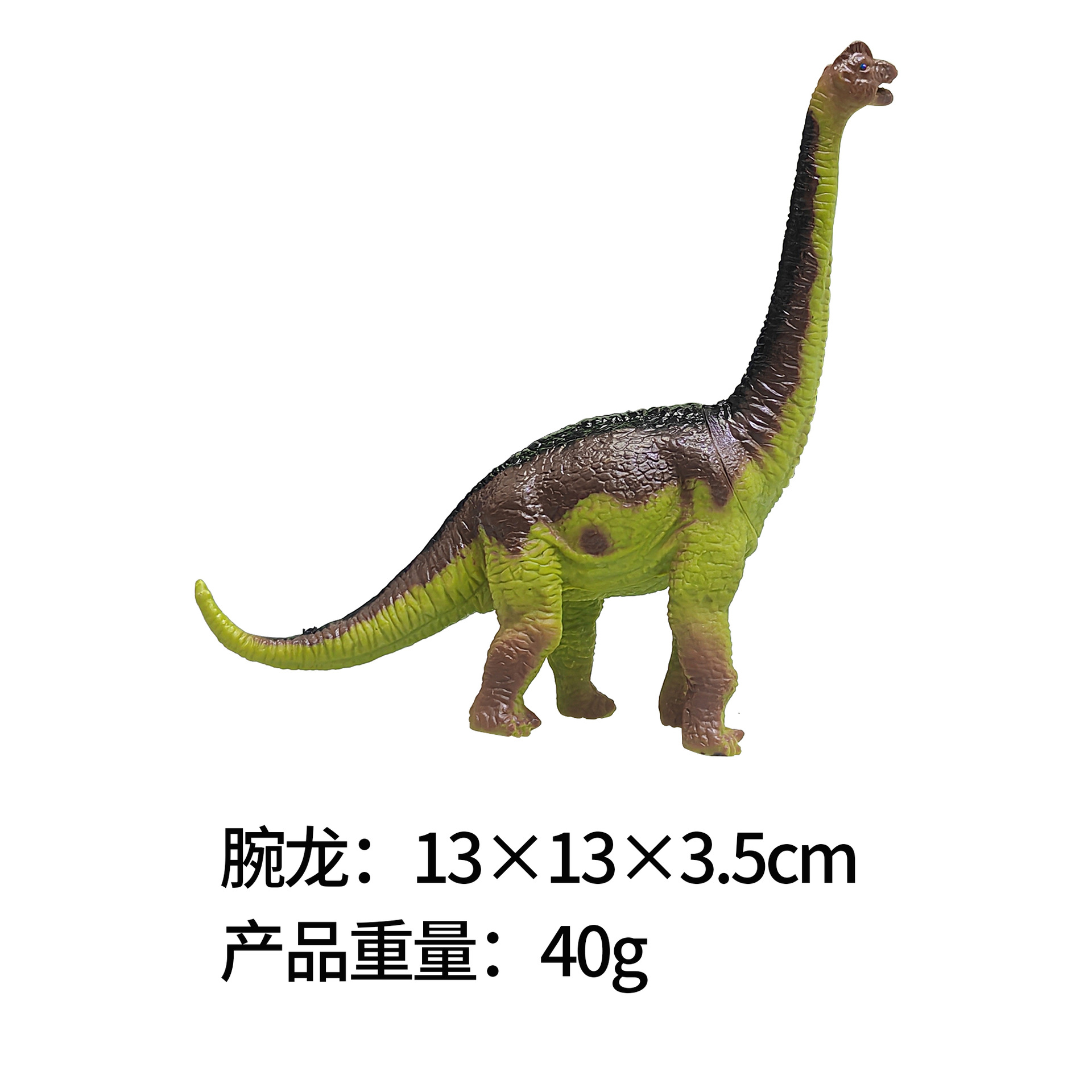 7-inch Hollow Brachiosaurus