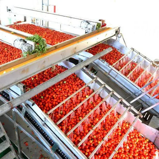 Leadworld-طماطم صناعية معلبة, خط إنتاج تعليب الطعام ، آلة إنتاج الصلصة ، خط إنتاج تركيز الطماطم