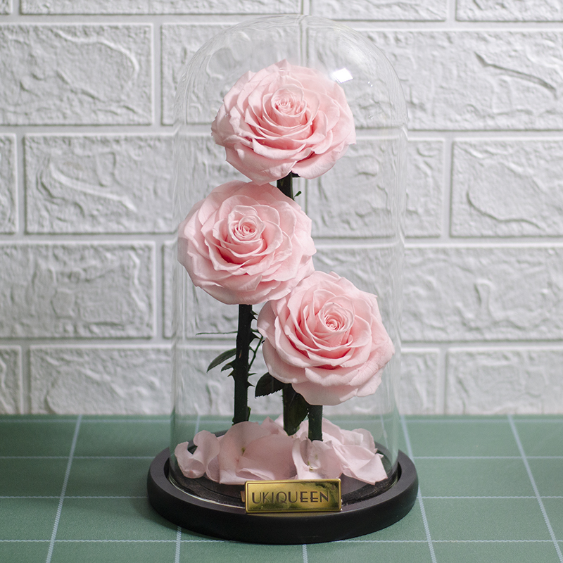 16 sakura rosa