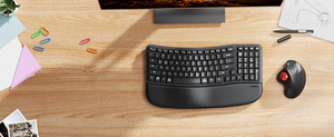 Wave Keys 2.4GHz Wireless USB Ergonomic <strong>Keyboard</strong> with Cushioned Palm Rest New Condition <strong>Computer</strong> Accessory for Desktop <strong>Use</strong>