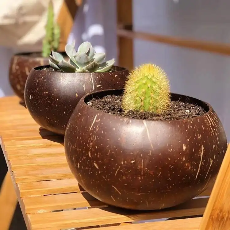 Fancy Planter Kit Stand Pot Vase OEM LOGO Natural Handmade Hanging Coconut Shell Flower Plant Pots for Garden