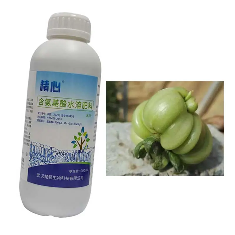 Biotecnología Fertilizante Proteína Jingxin Fertilizante preparación Mejorar Fruta malformada