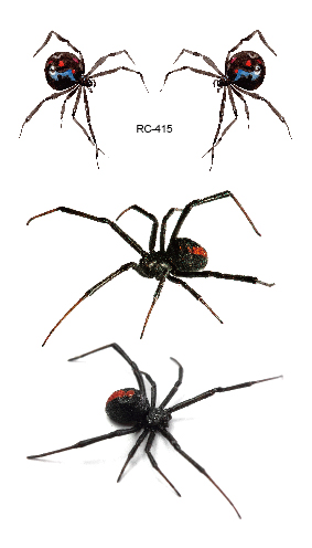 RC-415