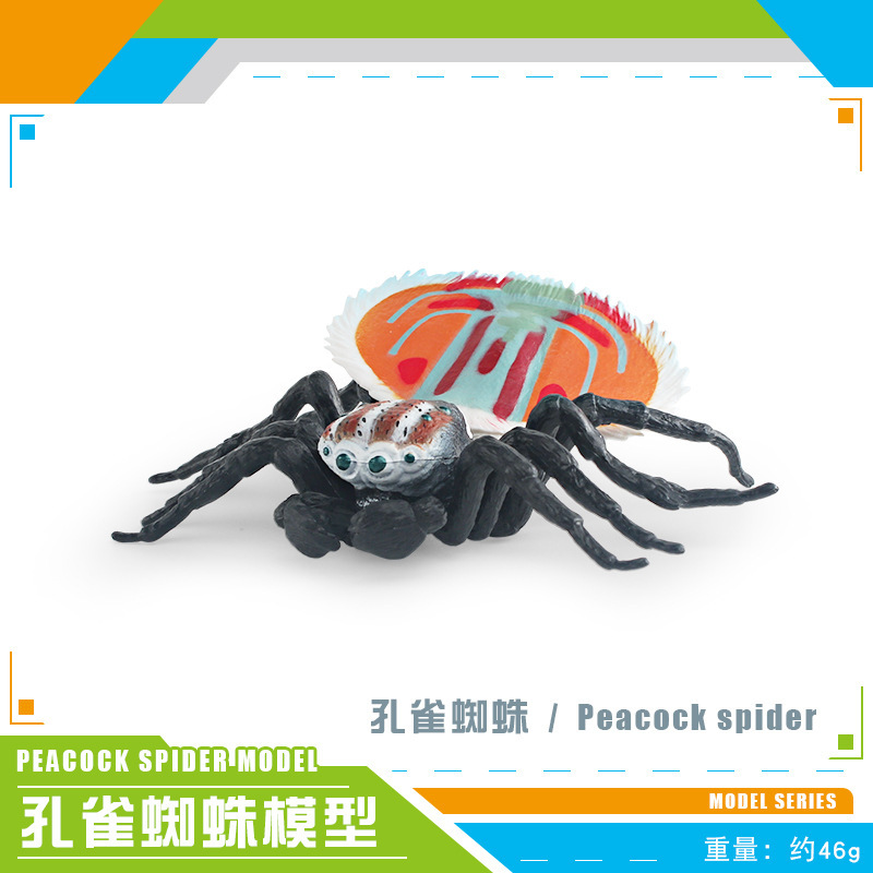 colorful PL127-2878 Peacock Spider 46g
