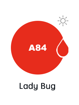 A84 LADY BUG