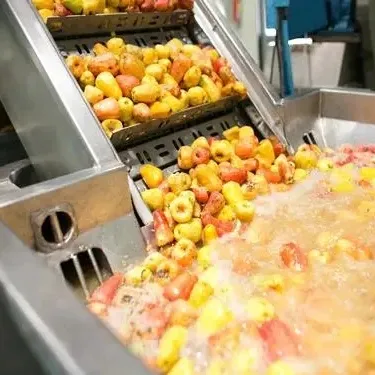 500kg-5000 kg/h ligne de traitement de jus de fruits pomme poire