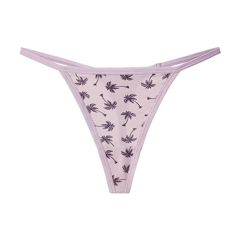 Palmera