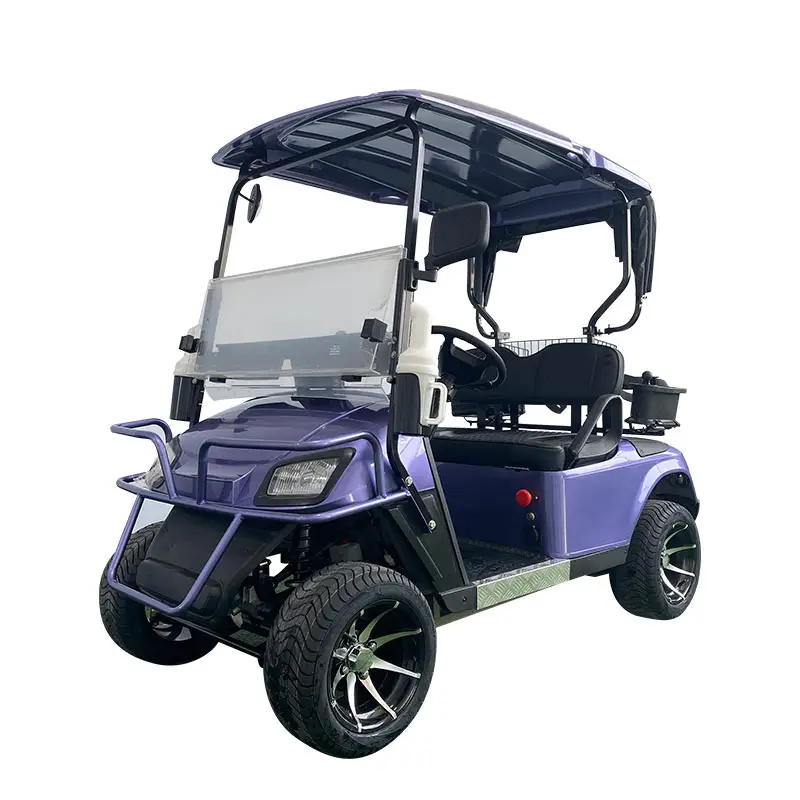 2023 New Model Golf Carts 2 Seat 4 Seat Electric Golf Cart with CE Train Parts & Accessories Golf Cart Accessories Ezgo Club Car