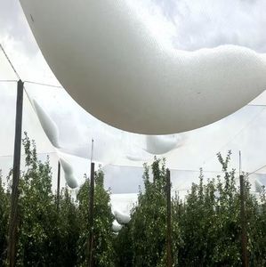 La nuova funzione di piegatura per l'agricoltura degli alberi da frutto Anti-grandine in HDPE protegge dalle dannose grandinate - Product Image 1