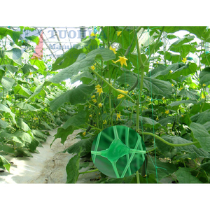 Durable Agriculture Vegetable Cucumber Crop Rattan Plant Climb Pea Bean <strong>Tomato</strong> <strong>Trellis</strong> Support Mesh plastic <strong>net</strong> plant support - Product Image 2
