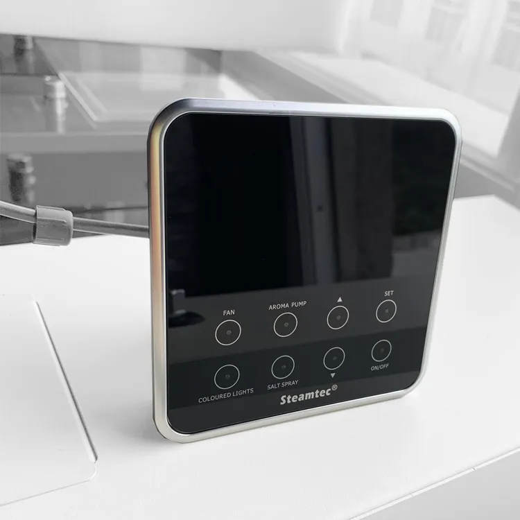 Intelligent Control System Steam Generator Wifi Bluetooth Speakers Salt Sprayer Luxury Accessories For Wet Sauna Room Hamam Bath