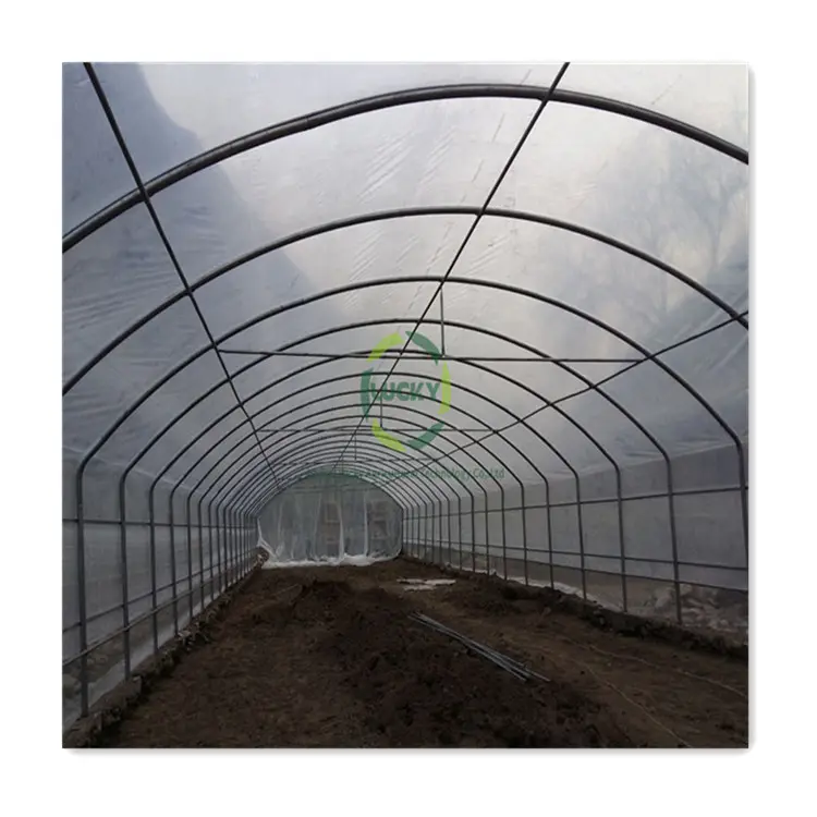 屋内成長テントコンプリートキットシェードネット天然ガスヒータープラスチック商業ソーラー農業温室