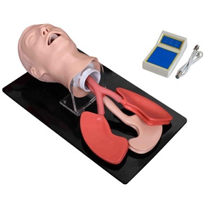 Intubation Manikin Hospital Advanced <strong>Human</strong> Trachea Intubation Model - Product Image 1
