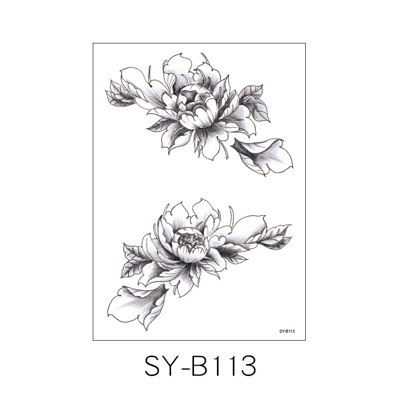 SYB-113