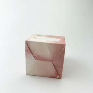 Özel Logo baskılı pembe karton kutuları ile pencere katlama kağit kutu peeling derisi fırça için - Product Image 4