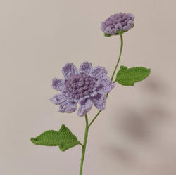 สีม่วง