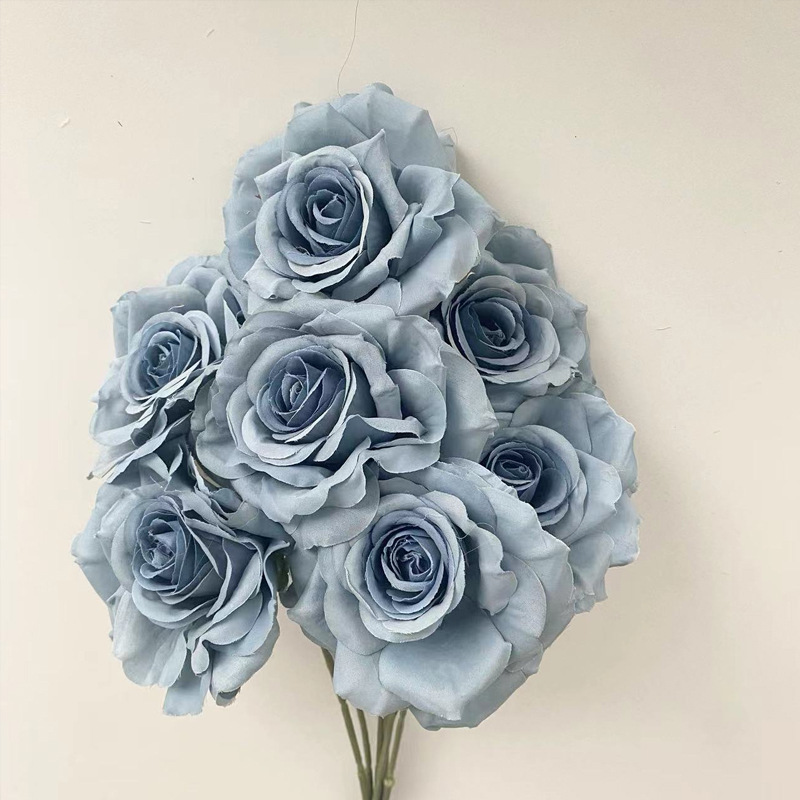 rosa nebbia blu