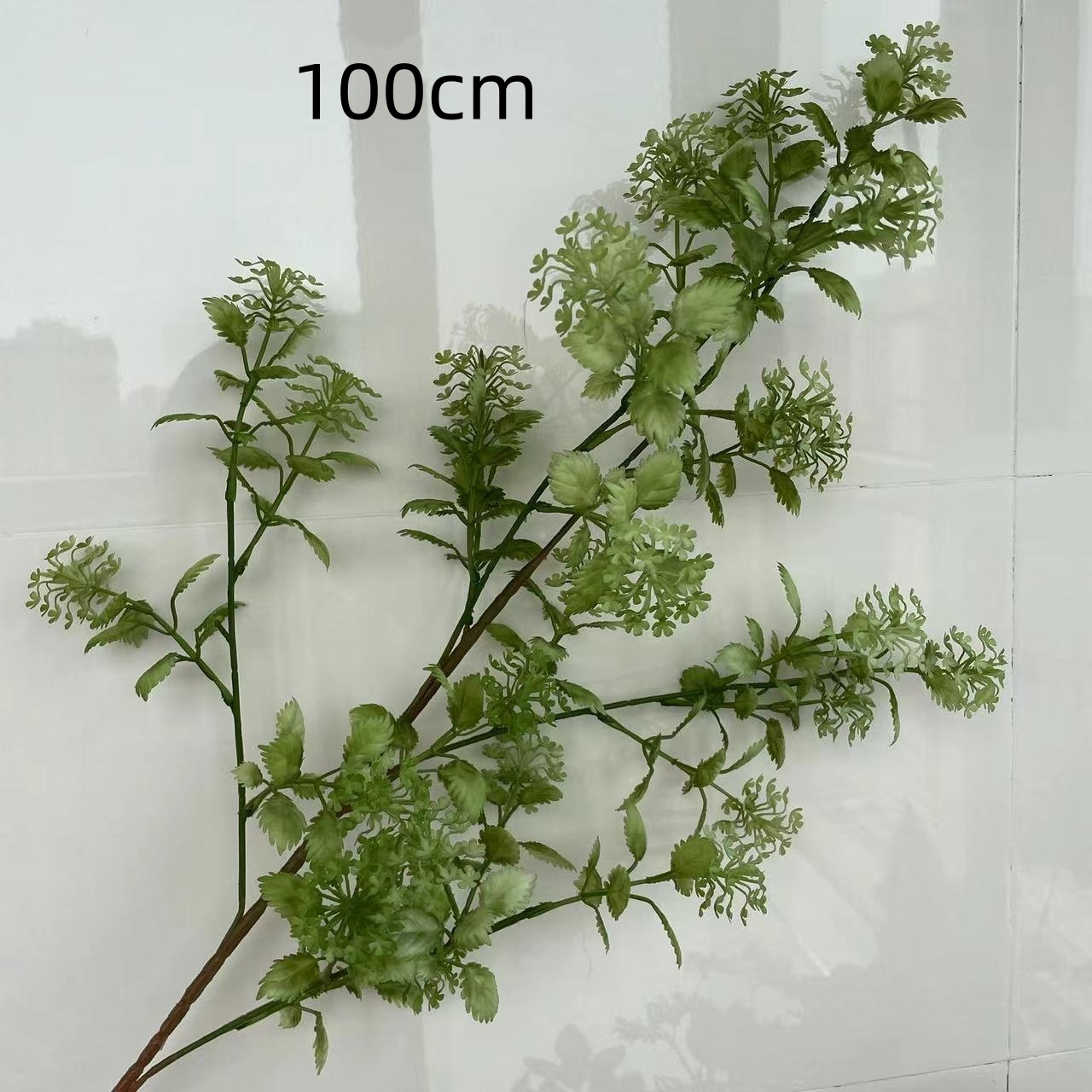 7 #100cm