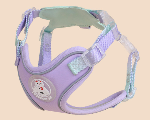Purple harness