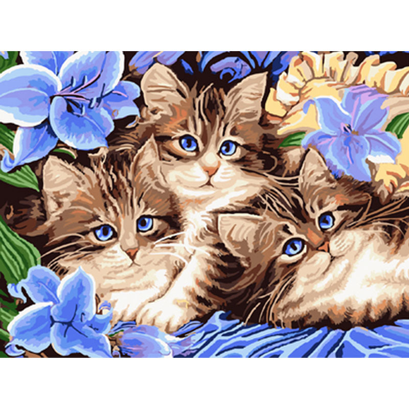 180 trois chats